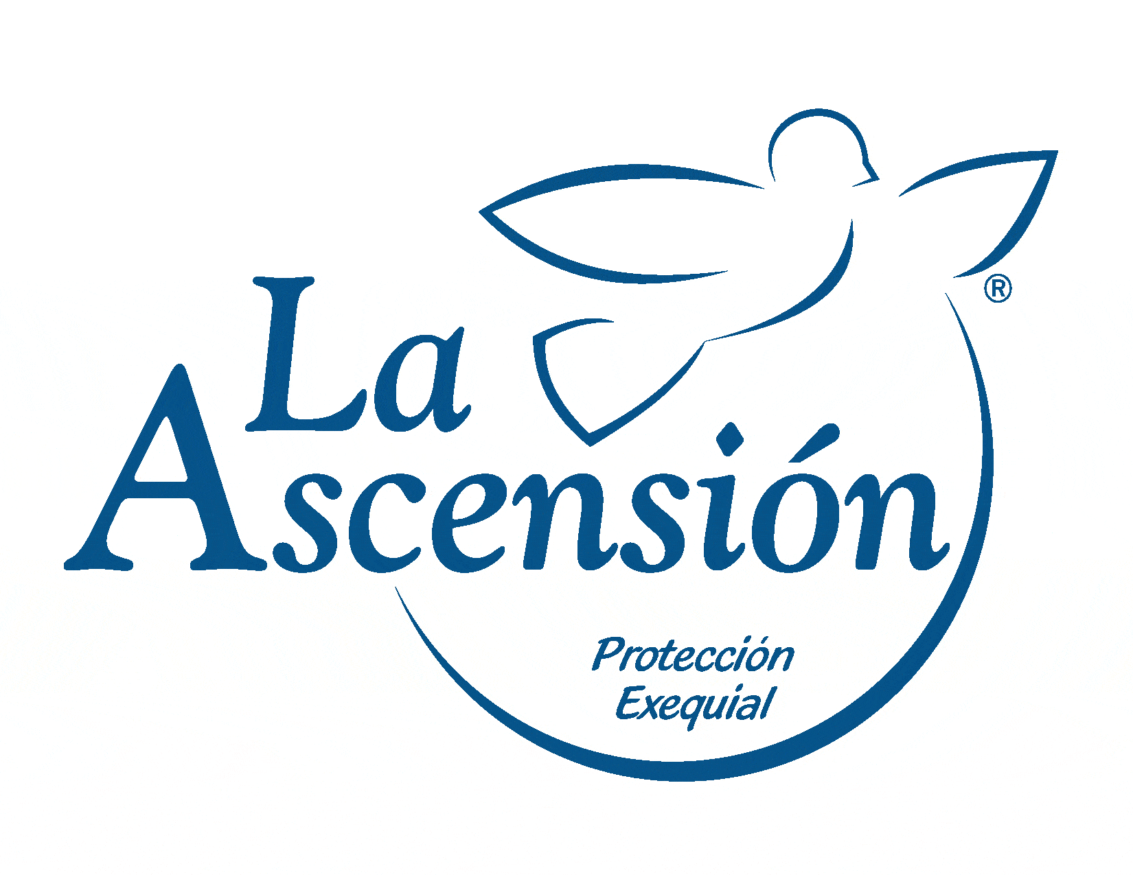 Ofertas de empleo en LA ASCENSION SA